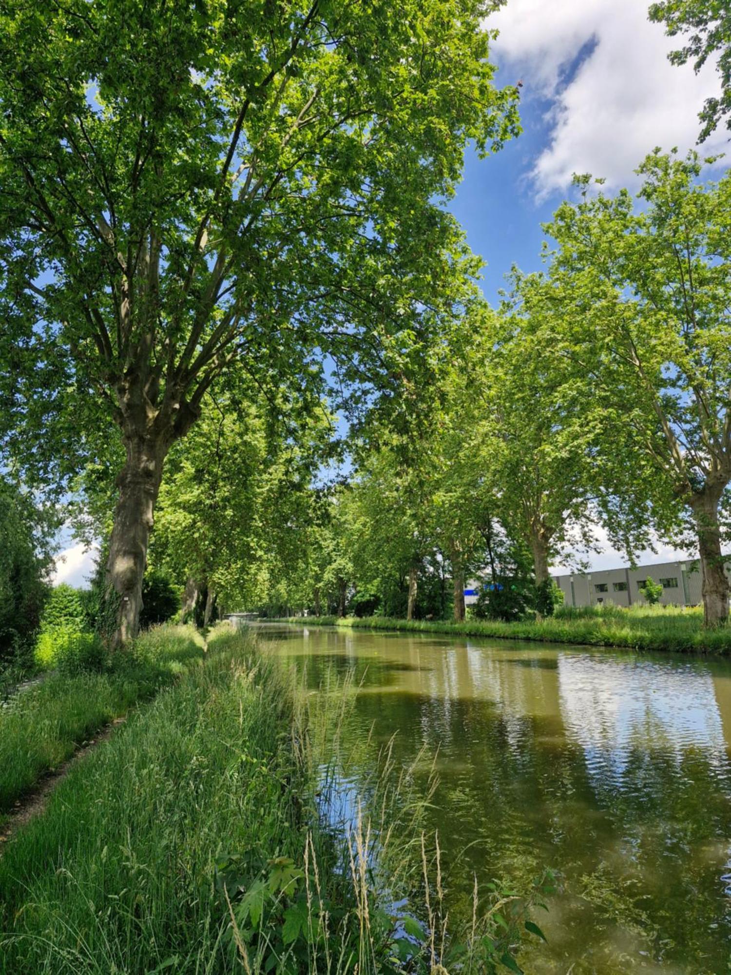 Gite-Appart Com' "Des Cimes Et Jardin" Illkirch-Graffenstaden Exteriér fotografie